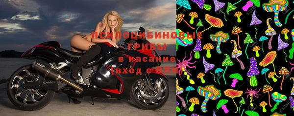 эйфоретик Нефтекумск