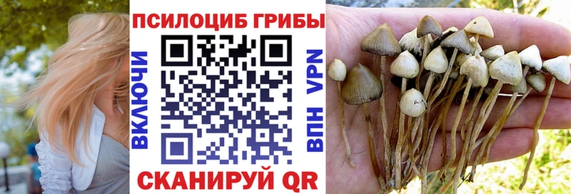 omg зеркало  Суоярви  Псилоцибиновые грибы мицелий 